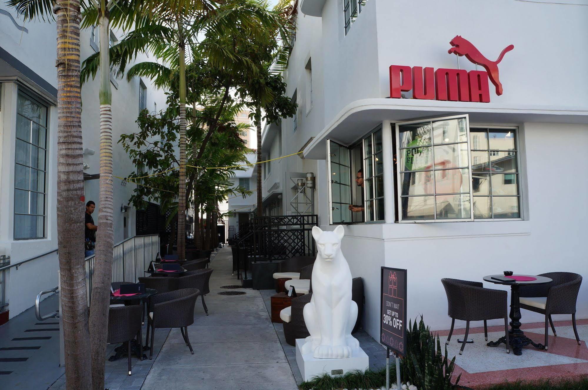 Posh South Beach Miami Beach Exterior foto